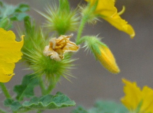 fce77f60d5e0.jpg
