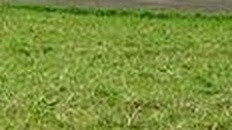 13844d3f8942.jpg
