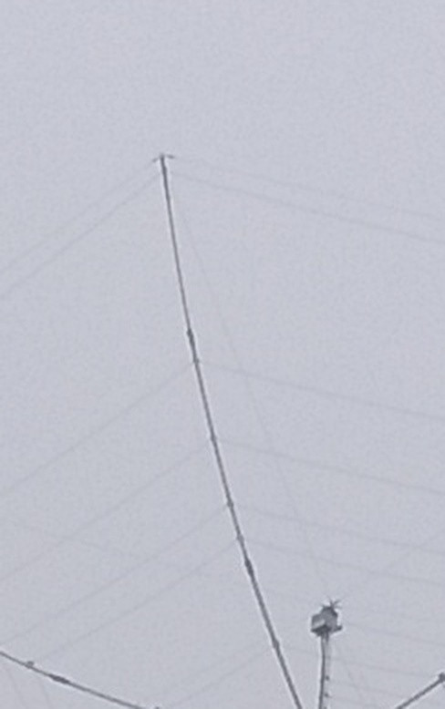 cbfc784ef62c.jpg