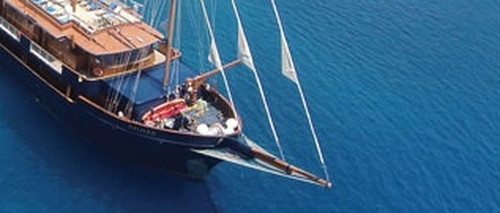 c2ac26aa3c38.jpg