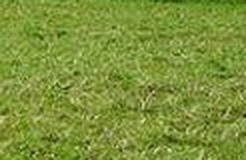 93a0d0f40775.jpg