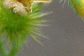 9ecfb2d296a0.jpg