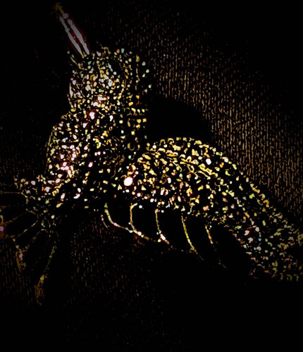 be6d95921b56.jpg