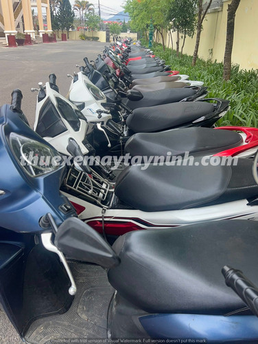 Tòa Thánh Tây Ninh (3).jpg