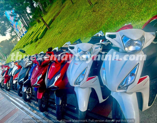 Lựa Chọn Mẫu Xe Máy (1).jpg