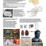 Captura de tela 7 4 2026 222924 .jpg