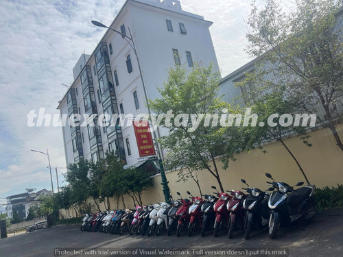 Đơn Vị Thuê Xe Máy (3).jpg