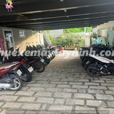 Thuê Xe Máy Tiết Kiệm (2)