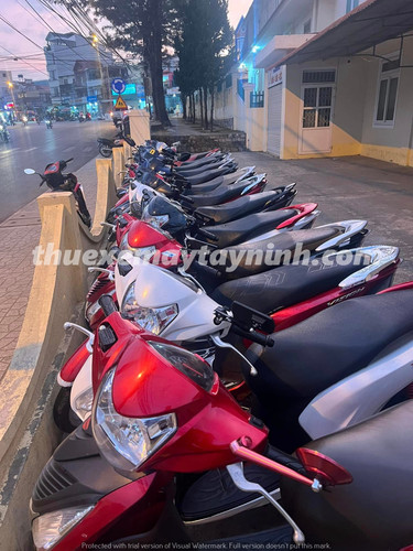 Thuê Xe Máy Tiết Kiệm (3).jpg