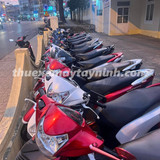 Thuê Xe Máy Tiết Kiệm (3)