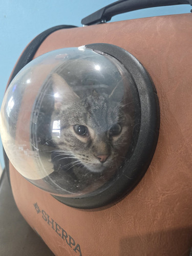 668678978 4341441079456902 381955284658511893 n.jpg