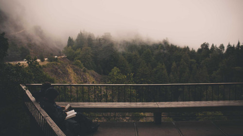 landscape image.jpg