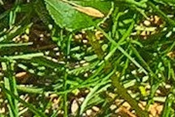 efeea92aa0a4.jpg