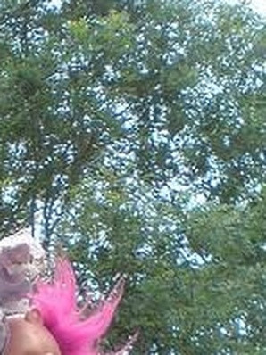 d6f9afba5d47.jpg