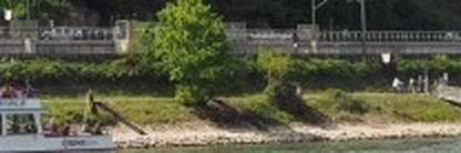 a16e02de9e93.jpg