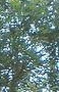086763e40dcf.jpg