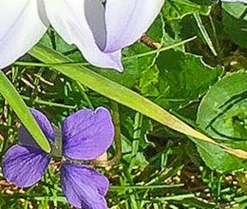 5fc529070b19.jpg