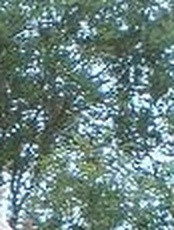 029f6135dfd3.jpg