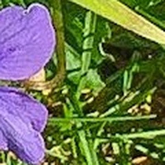 c93304818729.jpg