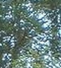 1f51d72fcbfe.jpg