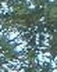 051e9b7ad702.jpg