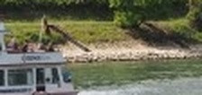 238cc12e950c.jpg