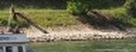 a00071ff2707.jpg