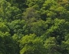 de54658f8927.jpg