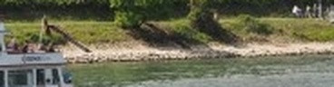 1f77220029c4.jpg