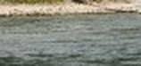 6ff229044add.jpg