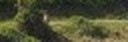 bd9e7197f5fe.jpg