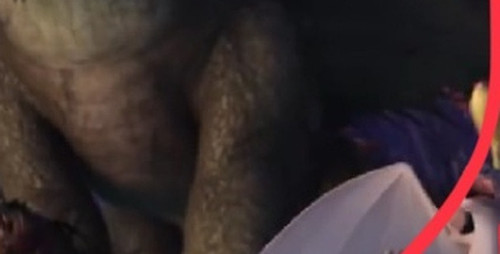 a547e58d0f2f.jpg