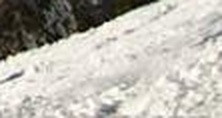 9bd5d9ec6279.jpg