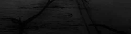 4d9794015989.jpg