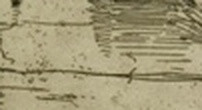 0066e4a6dbbd.jpg