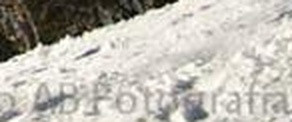 4d344bac9a71.jpg