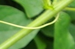 ca70a82448d3.jpg