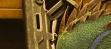 1ead9ac55780.jpg