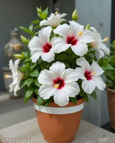 eyxeg 512.webp