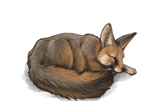 deertushblanfordsfox.png