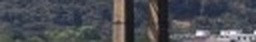2064ef2f32ab.jpg