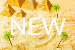 new.png