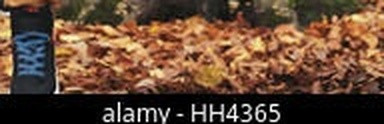 21a1088669e6.jpg