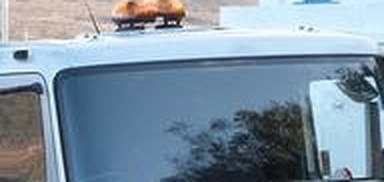 f241e0a3baf1.jpg