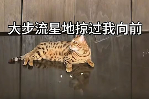 微信图片 20260408133710 168942 1.jpg
