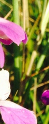 ffa50ef97567.jpg