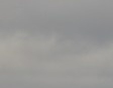 1e1342379728.jpg