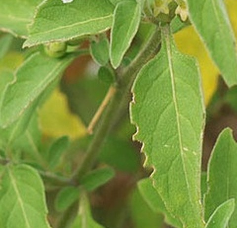 59b06191065a.jpg