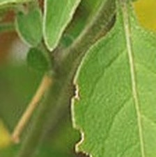 b02885a8852c.jpg