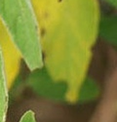 3e222cb599c3.jpg